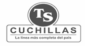 TS