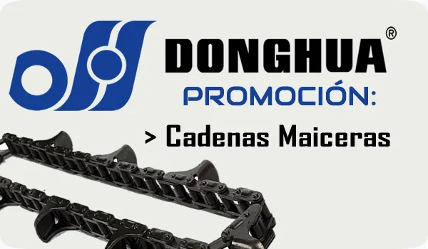 Donghua